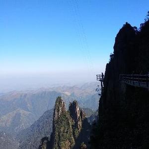敏锐风筝D头像