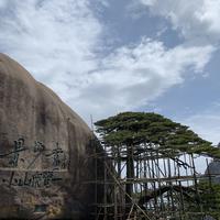 流浪诗人在刷牙头像