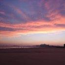 梦中的小王子的个人资料头像