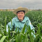 小峰趣生活头像