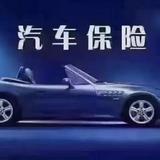 小派哥保险头像