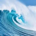 乐观的海浪vt头像