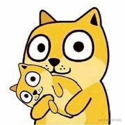 FlyfishXu的个人资料头像