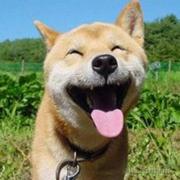 morsuning的个人资料头像