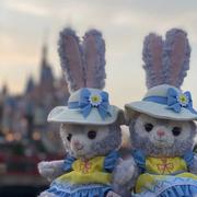 ZERO185的个人资料头像