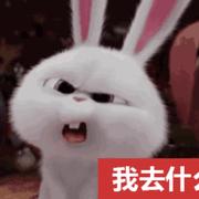 馒头按按头的个人资料头像