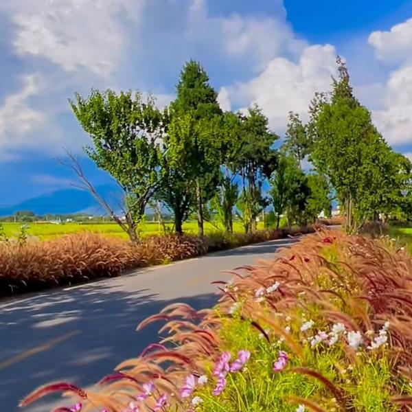 步步为赢8X6z头像