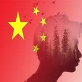 可靠博学橙子头像