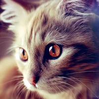 热情的小羊wa3头像