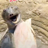 用户8805518445128头像