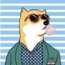 黄斌旭的个人资料头像