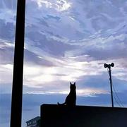 灰羽的个人资料头像