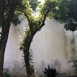 陶然8296头像