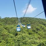 悠闲福里福气头像