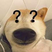 Che的个人资料头像