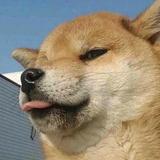 吹拂头像
