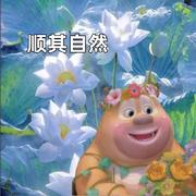 北冥有鱼518的个人资料头像