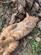 花花的廖廖的个人资料头像