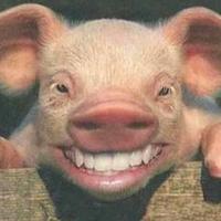 麦兜兜吃豆腐头像