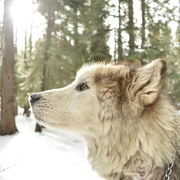 zhiyong998的个人资料头像