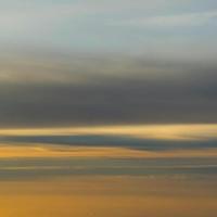 运动卡梅尔0N2头像