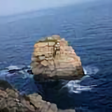 涛哥打印241头像