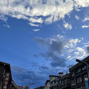子非鱼墨鱼焉头像