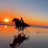 博学的船帆W3E头像