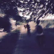 Jsonz的个人资料头像