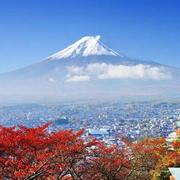 西乡河农民工的个人资料头像