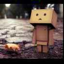 CDS68214的个人资料头像