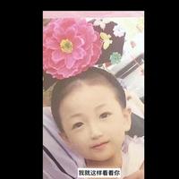 诗意橙子0v头像