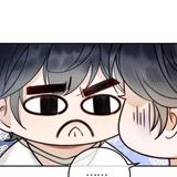 聪颖西柚eLI头像