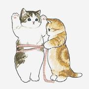 木小棉975的个人资料头像