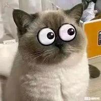 实力眼瞎437头像