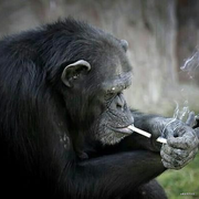 Andria126的个人资料头像