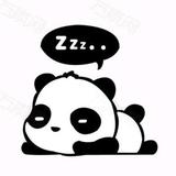 白天黑夜的小熊猫。头像