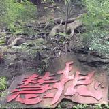 夜游神4287558788227头像