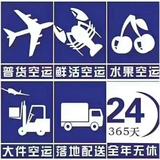 急件空运当日达头像