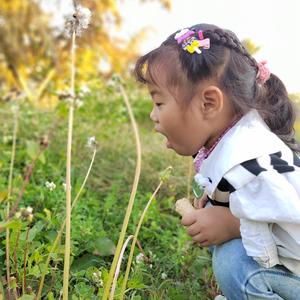 小锦鲤头像