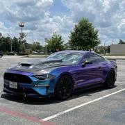 薛灵玉的个人资料头像