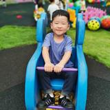 小野马在奔驰头像
