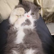 妞啊妞的个人资料头像