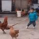 让我先喘口气再跟爷讲头像