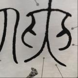 qz24tl头像