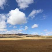 柳絮飞的个人资料头像