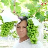 青涩水滴xeF头像