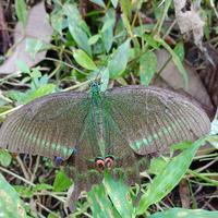 孤舟独行579头像