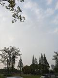 用户2884279420509头像