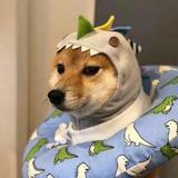 用户2717690088588头像